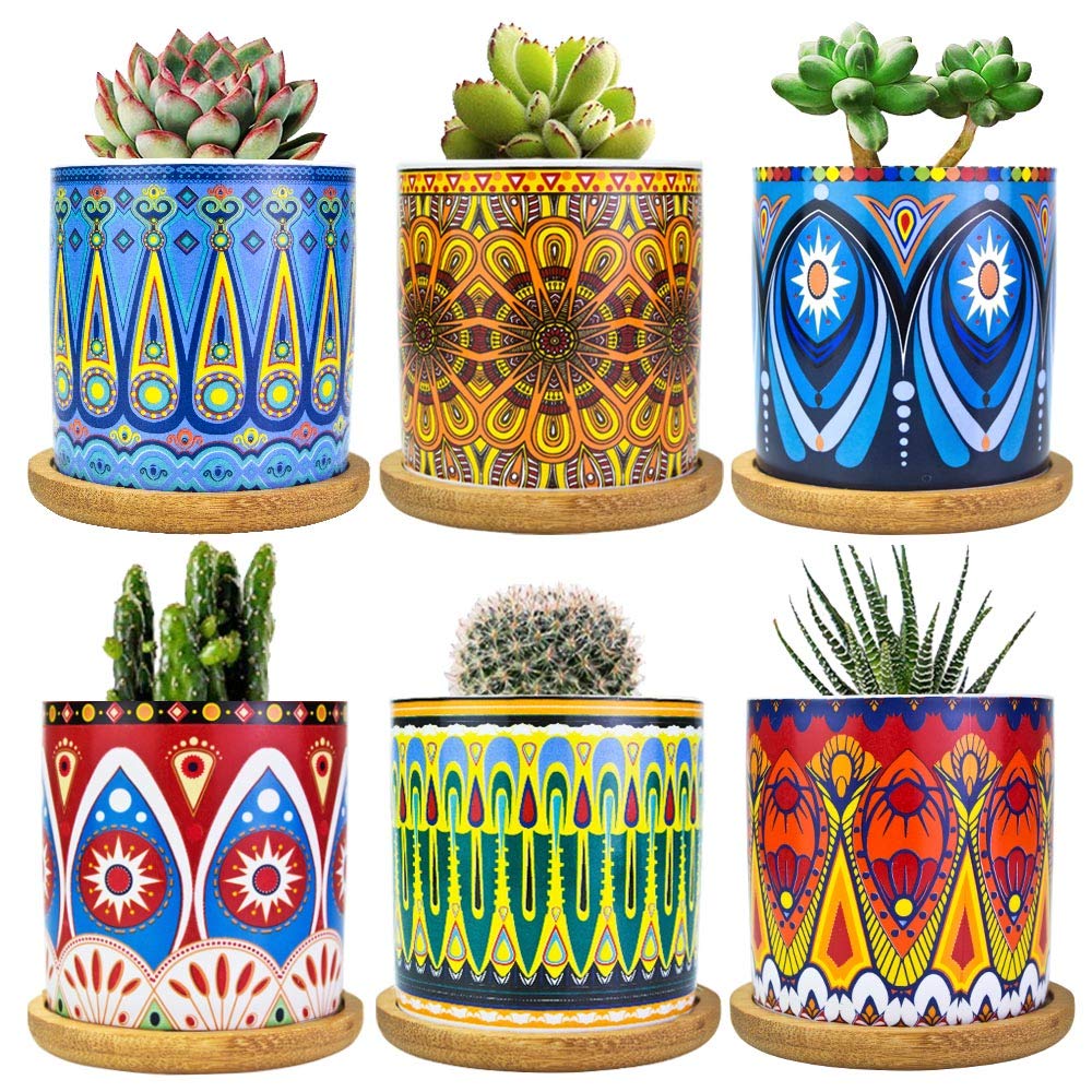 Ascrafter Mandala succulent pot with drainage hole keeps plants healthy.