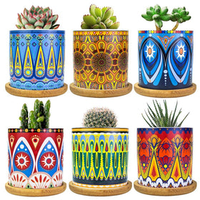 Ascrafter Mandala succulent pot with drainage hole keeps plants healthy.
