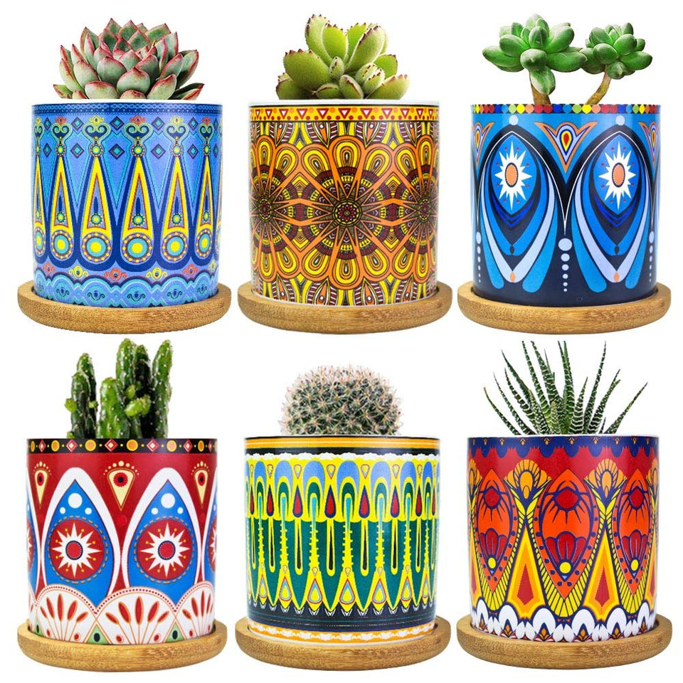Ascrafter Mandala succulent pot with drainage hole keeps plants healthy.