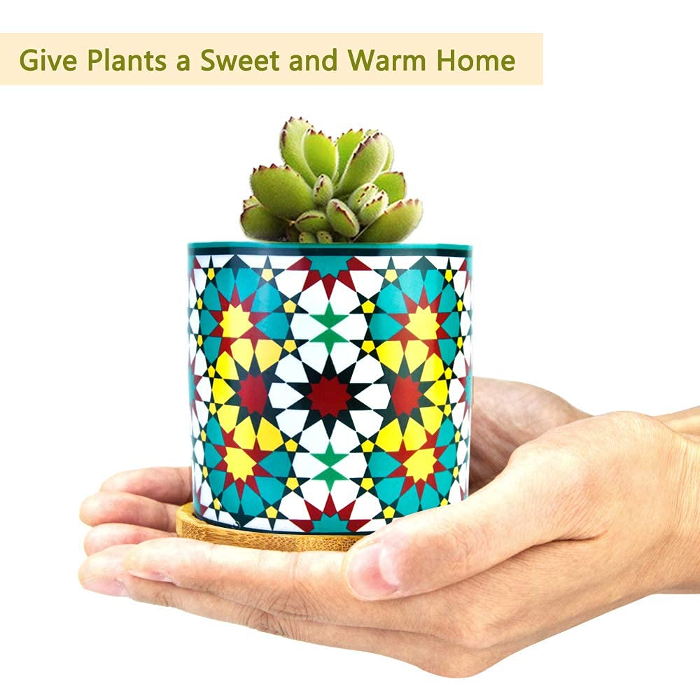 Ascrafter small plant container pot ideal for compact desk greenery.
