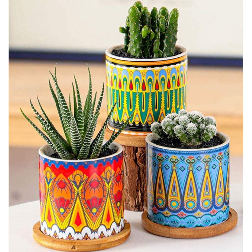 Ascrafter Small plant pot with mandala design for indoors.