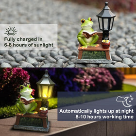 ASDFG Waterproof Frog Statue with IP65 protection for outdoor use.