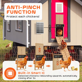AsFrost anti pinch feature demonstrates safe chicken passage and protection