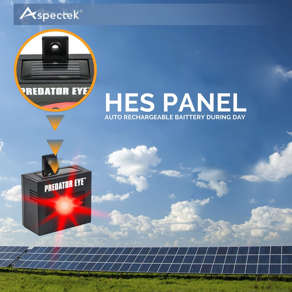 ASPECTEK Predator Eye offers humane, chemical-free pest deterrence.