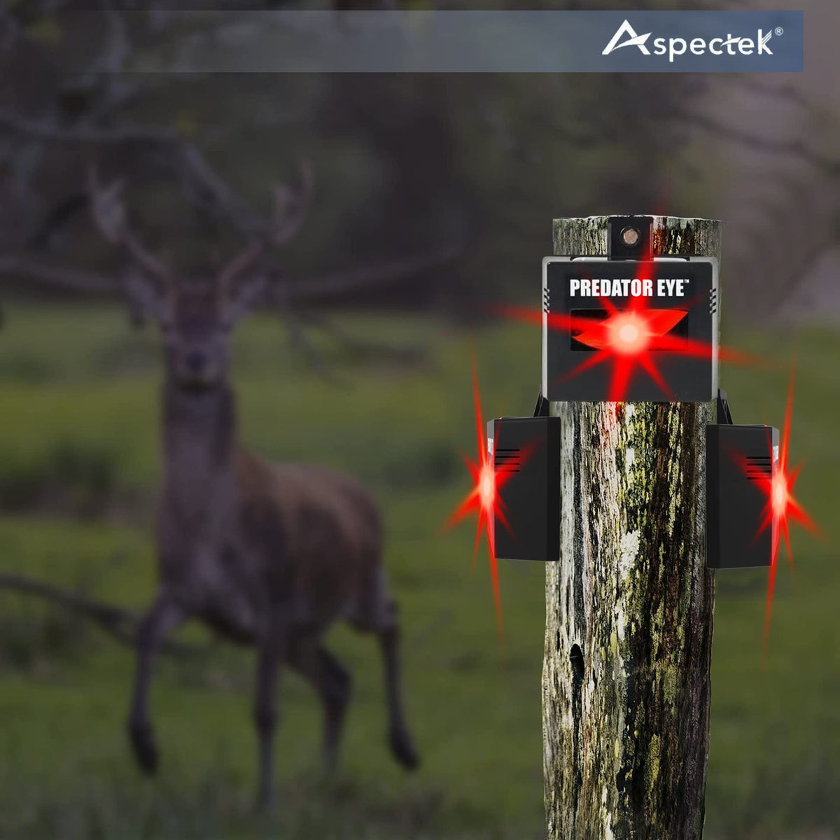 ASPECTEK Predator Eye simple troubleshooting for easy setup.
