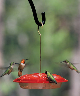 Aspects 367 Hummzinger Ultra feeder showing raised flowers diverting rain and reducing nectar exposure.