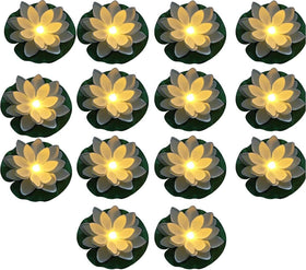 Assaoy lotus layers detail shows four-layer petals for realistic water garden accent