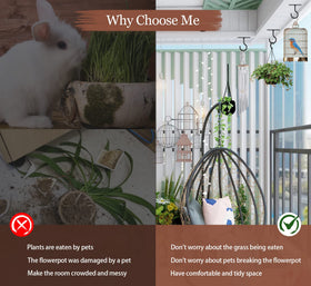 ASZUNE narrow-base plant hanger design maximizing installation space while staying sturdy