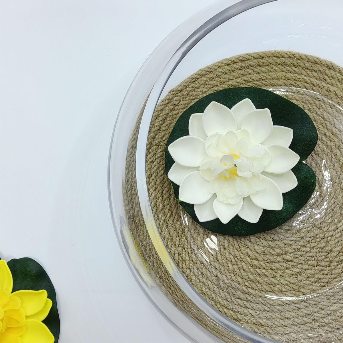ATdobZYZ bonsai-glass-bowl-display provides a refined home for small plants.