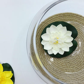 ATdobZYZ bonsai-glass-bowl-display provides a refined home for small plants.