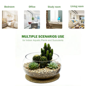 ATdobZYZ hydroponic-cultivator-bowl supports lush plant growth indoors.