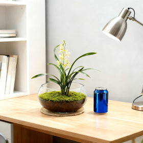 ATdobZYZ water-lily-flower-pot offers elegant display options.