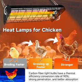ATHCOHT IP67 waterproof and dustproof design for year-round coop use.