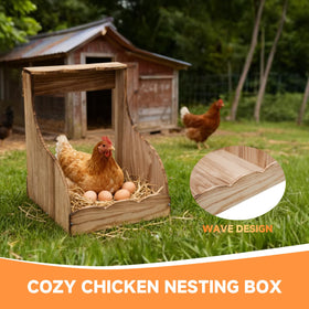 ATHCOHT open-back design promotes airflow and easy egg retrieval in nesting boxes