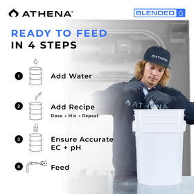 Athena Blended Balance in hydroponics with coco coir shows stable growing conditions.