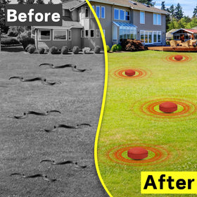 Atindirey easy-no-sprays solution requires simple placement and maintenance.