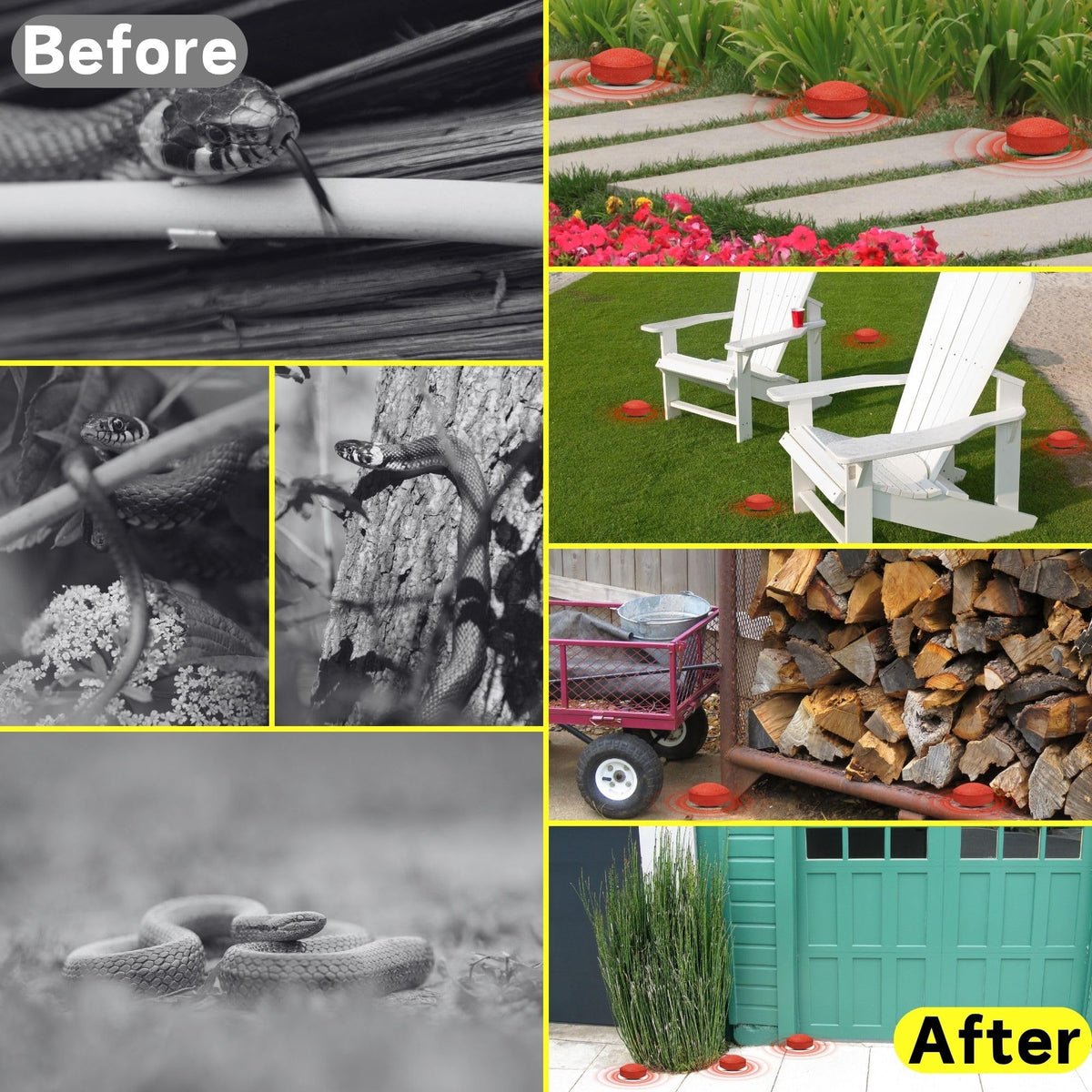 Atindirey patio-garden-setup helps keep outdoor living areas snake-free.