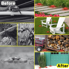 Atindirey patio-garden-setup helps keep outdoor living areas snake-free.