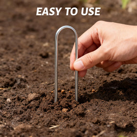 Atlantic stainless landscape stakes provide vine support for climbing plants.