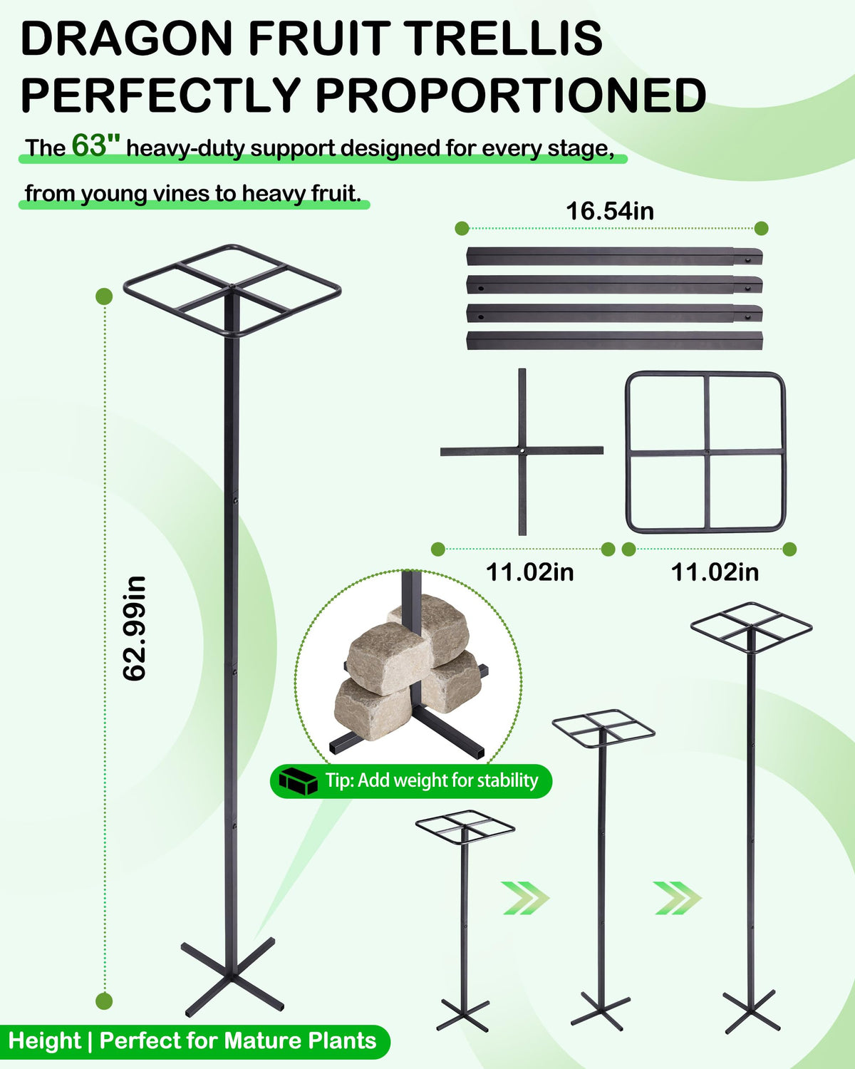 ATLIKE 62in adjustable trellis enables height growth for dragon fruit and other climbers.