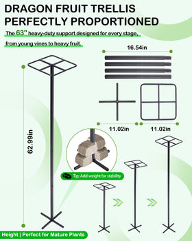 ATLIKE 62in adjustable trellis enables height growth for dragon fruit and other climbers.