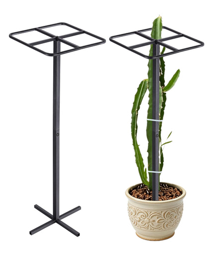 ATLIKE Metal Dragon Fruit Trellis with square top supports climbing plants and eases pruning.