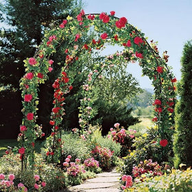 ATR ART TO REAL Garden Arch with flowers demonstrates stylish floral decoration options.