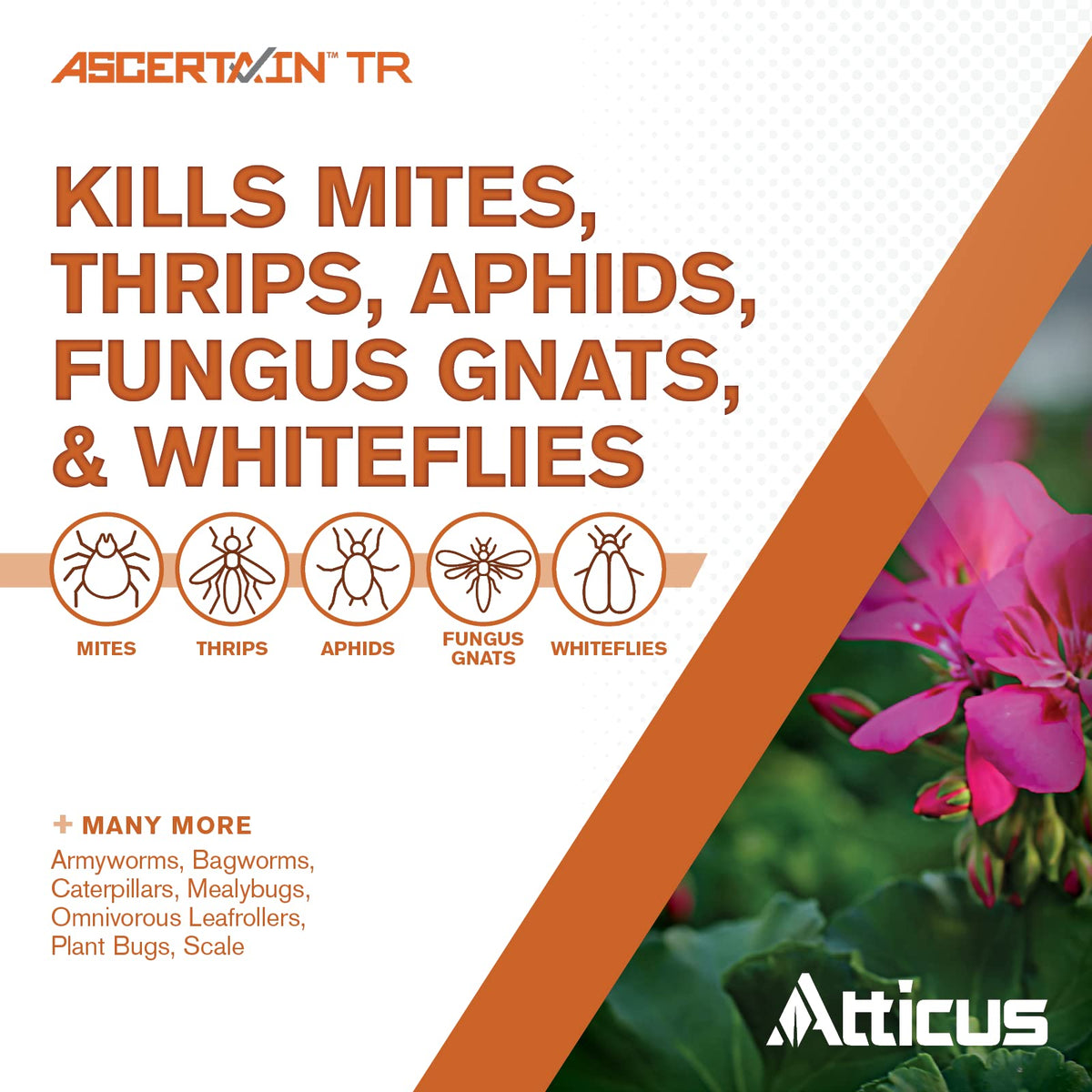 Atticus Ascertain TR fogger in action releasing mist over a plant canopy