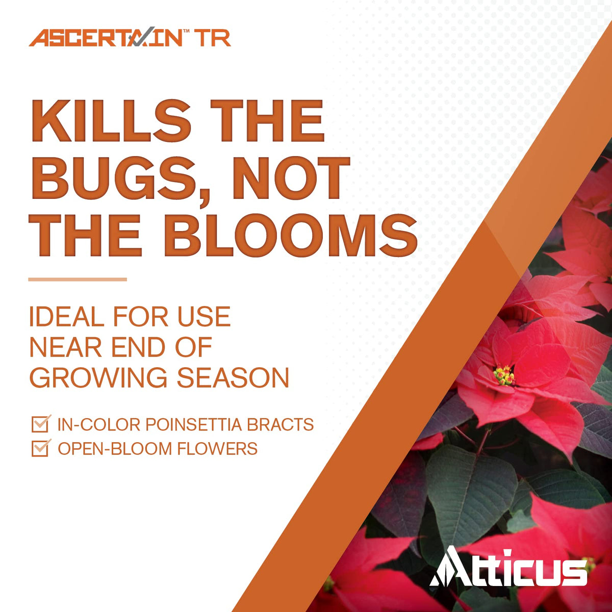 Greenhouse setting shows Atticus Ascertain TR being applied to protect ornamentals