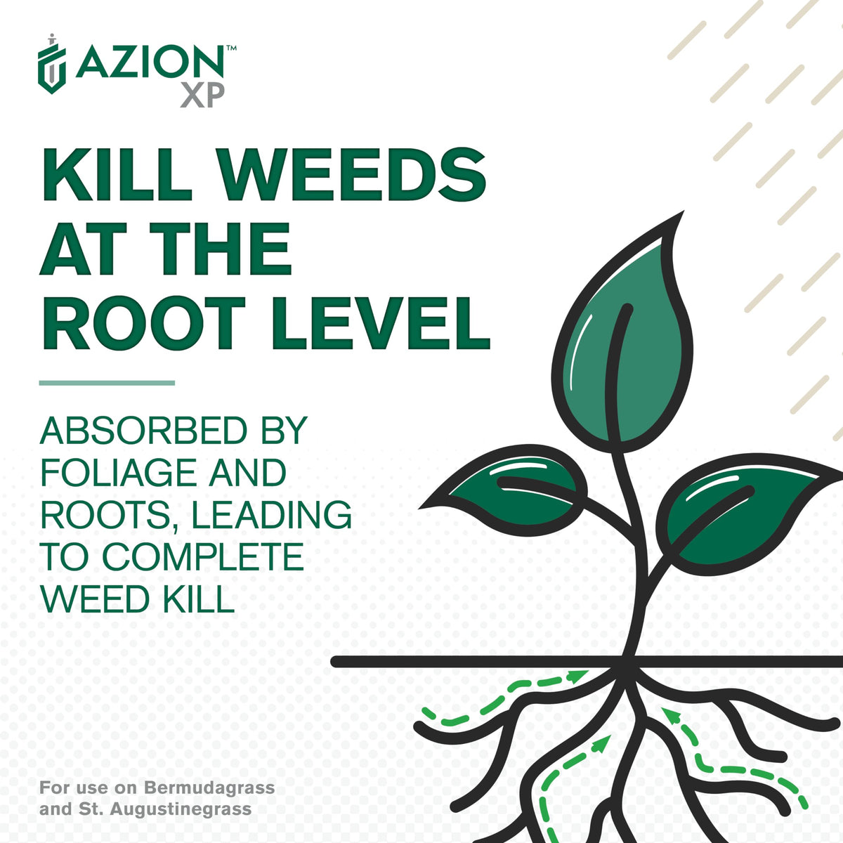 Atticus Azion XP root-uptake action indicating systemic weed kill.