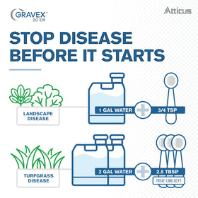 Atticus Gravex 20EW protection for ornamentals against common fungi