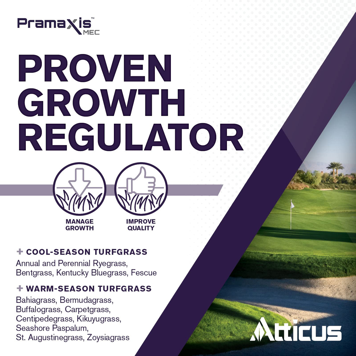 Atticus Pramaxis MEC on golf course turf illustrating enhanced playability and stress tolerance.
