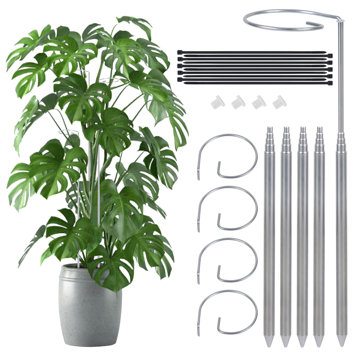 Atvkov extendable plant stake in 7in-24.5in range supporting Monstera indoors