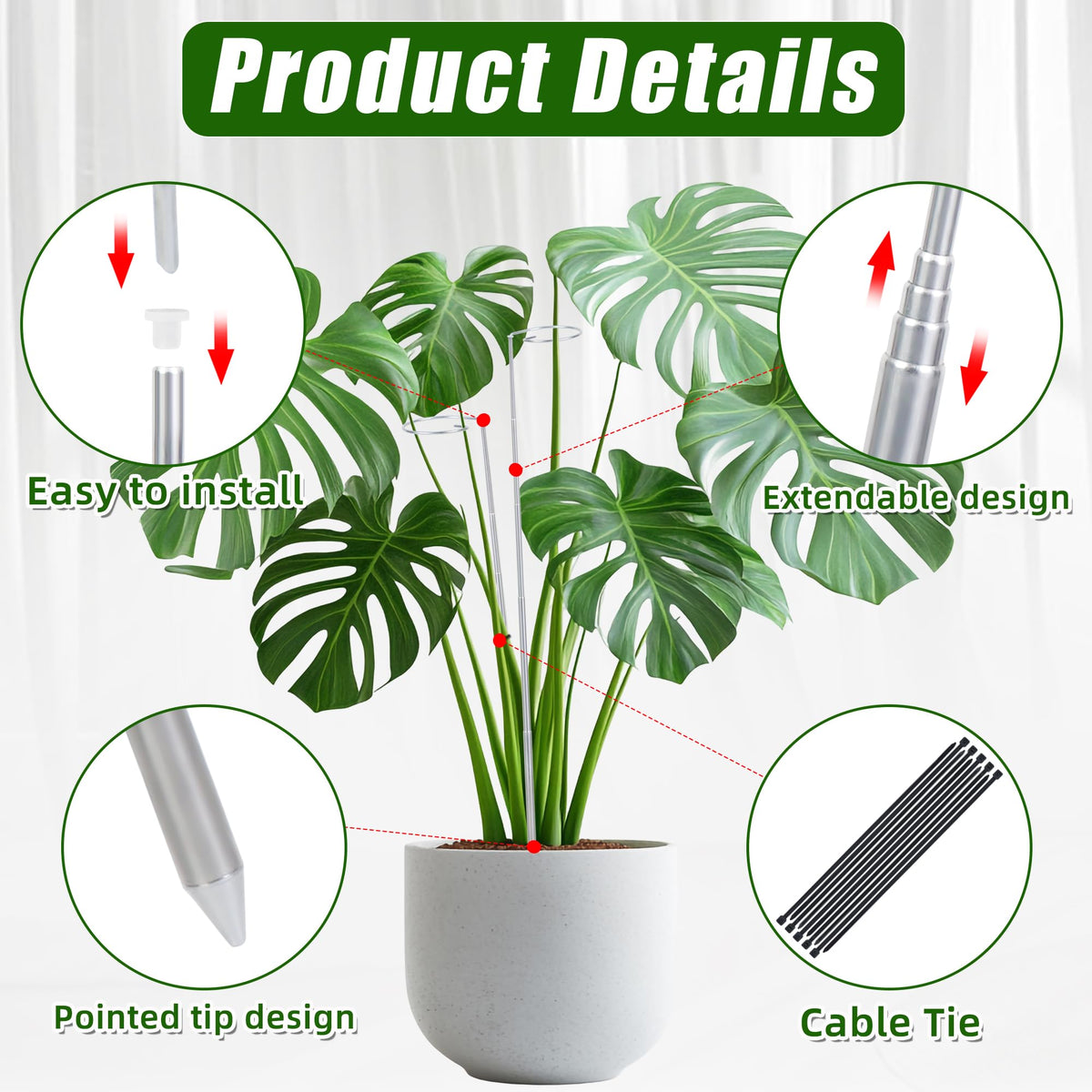Atvkov Monstera stake installed indoors for upright growth