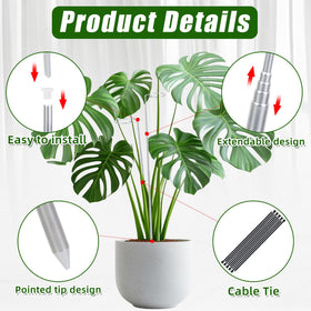 Atvkov Monstera stake installed indoors for upright growth