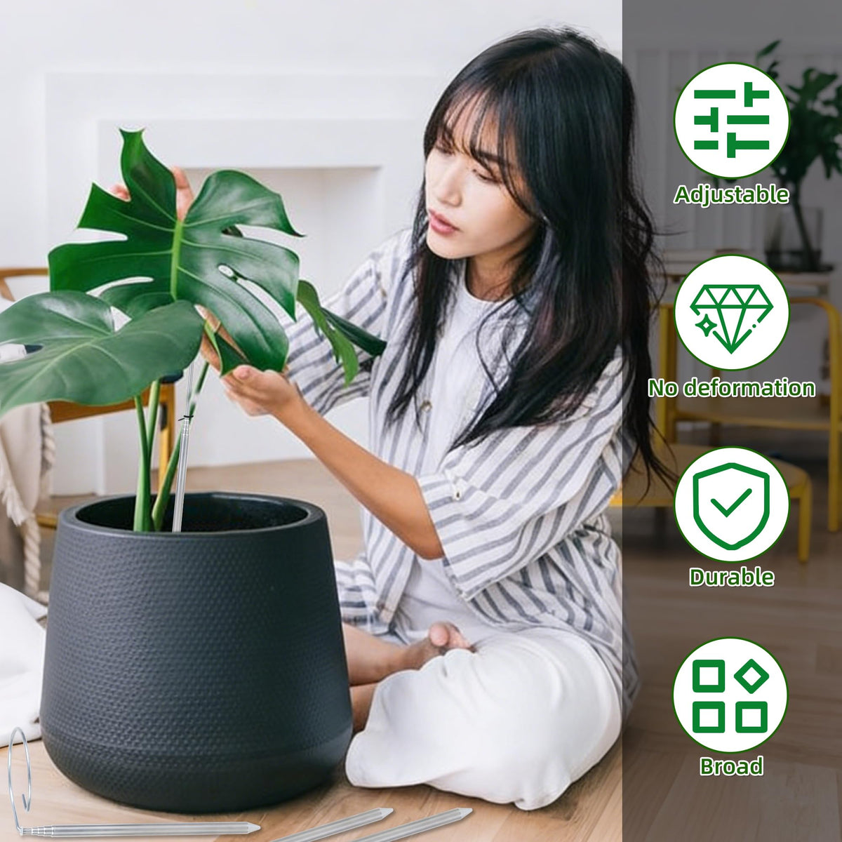 Atvkov orchid stake in use supporting tall stems