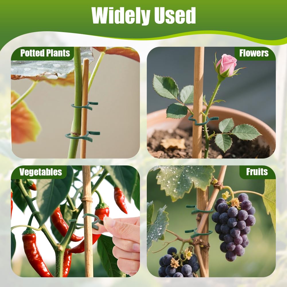 AUAUY clips secure climbing plant vines to trellises and cages.