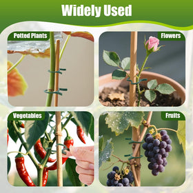 AUAUY clips secure climbing plant vines to trellises and cages.