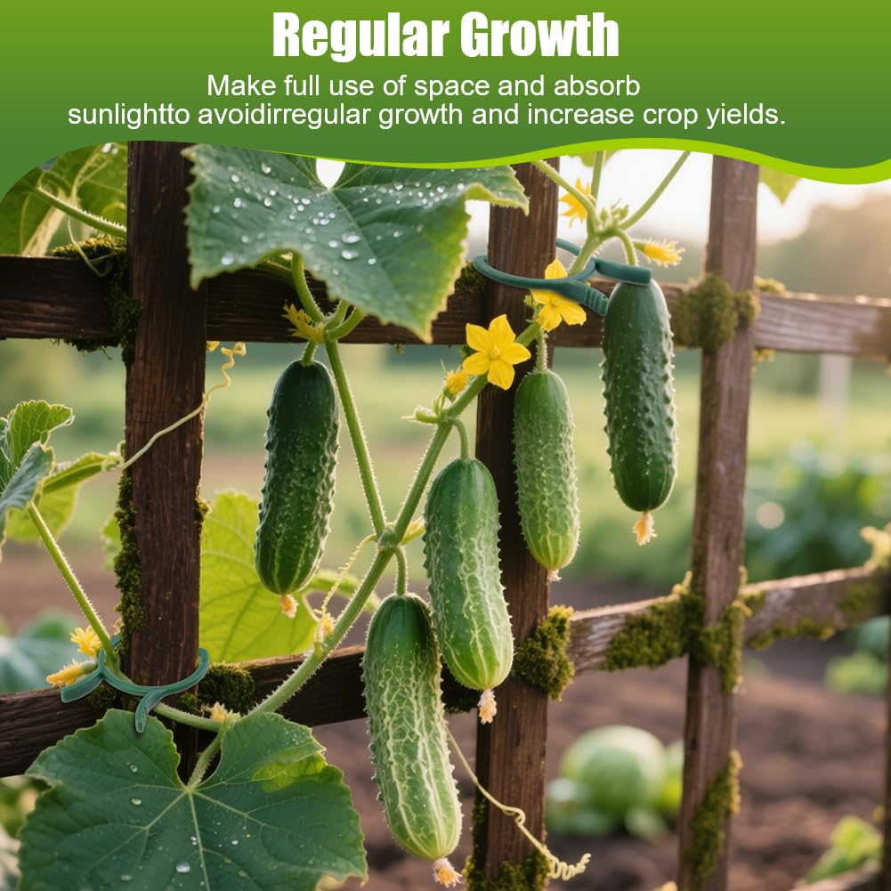 AUAUY plant clip fastens stems to supports for upright growth.