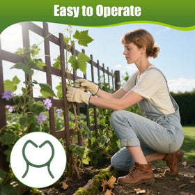 AUAUY green plant support rings blend invisibly with indoor plants.