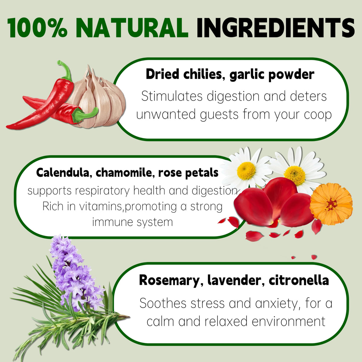 AUBOEAY edible herbs for chickens safe bedding enrichment.