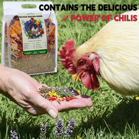 AUBOEAY eight-ingredient herbs blend adding aroma and enrichment for poultry.