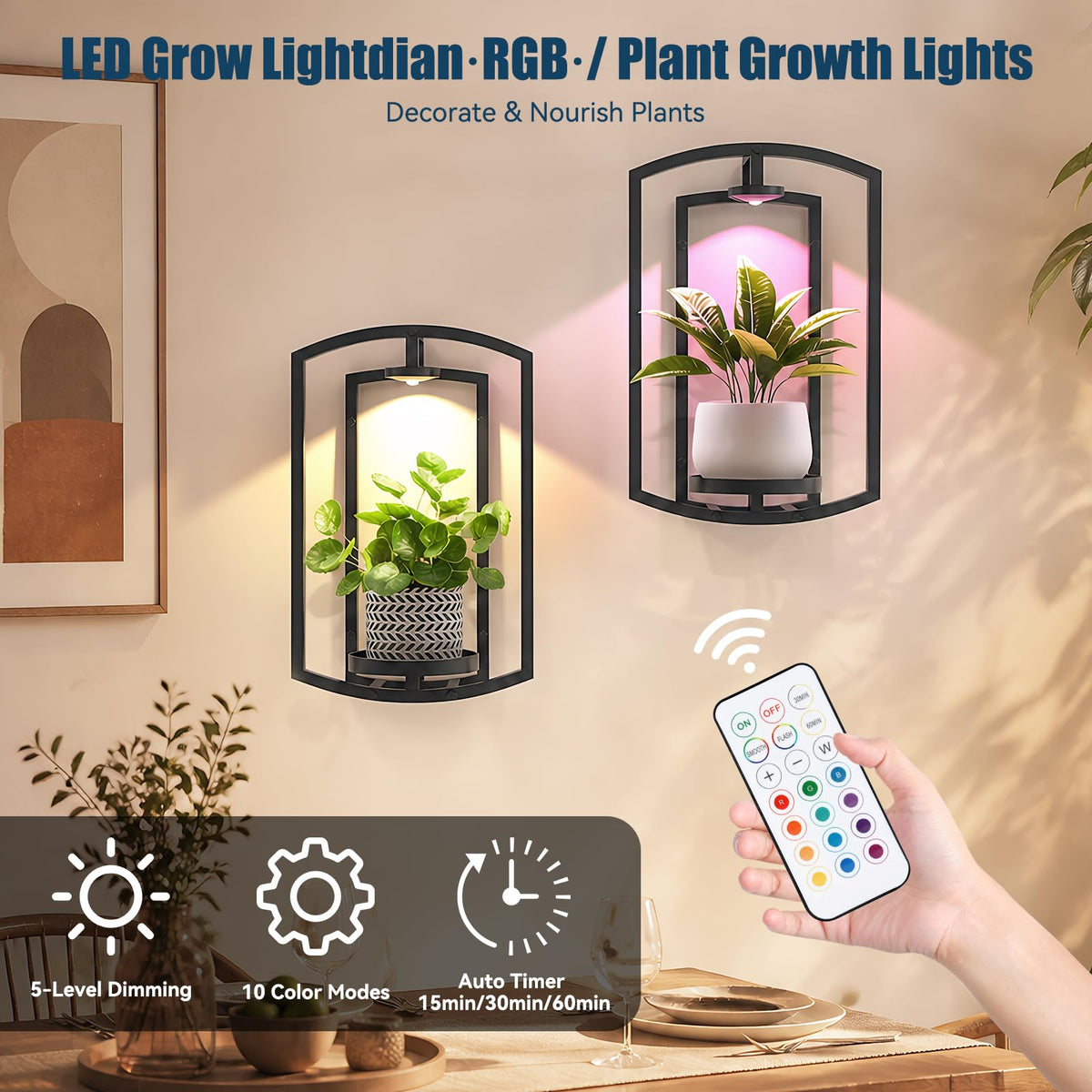 AUCCNT framed indoor garden display with built‑in lights enhances living room decor.
