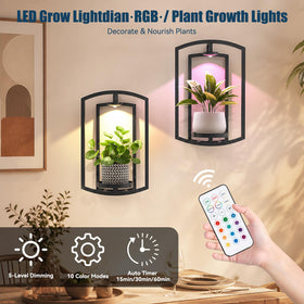 AUCCNT framed indoor garden display with built‑in lights enhances living room decor.