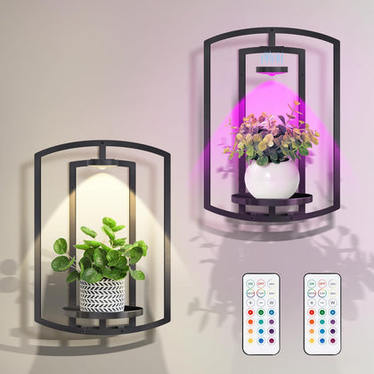 AUCCNT wall plant holder with remote grow lights provides framed indoor illumination for herbs.
