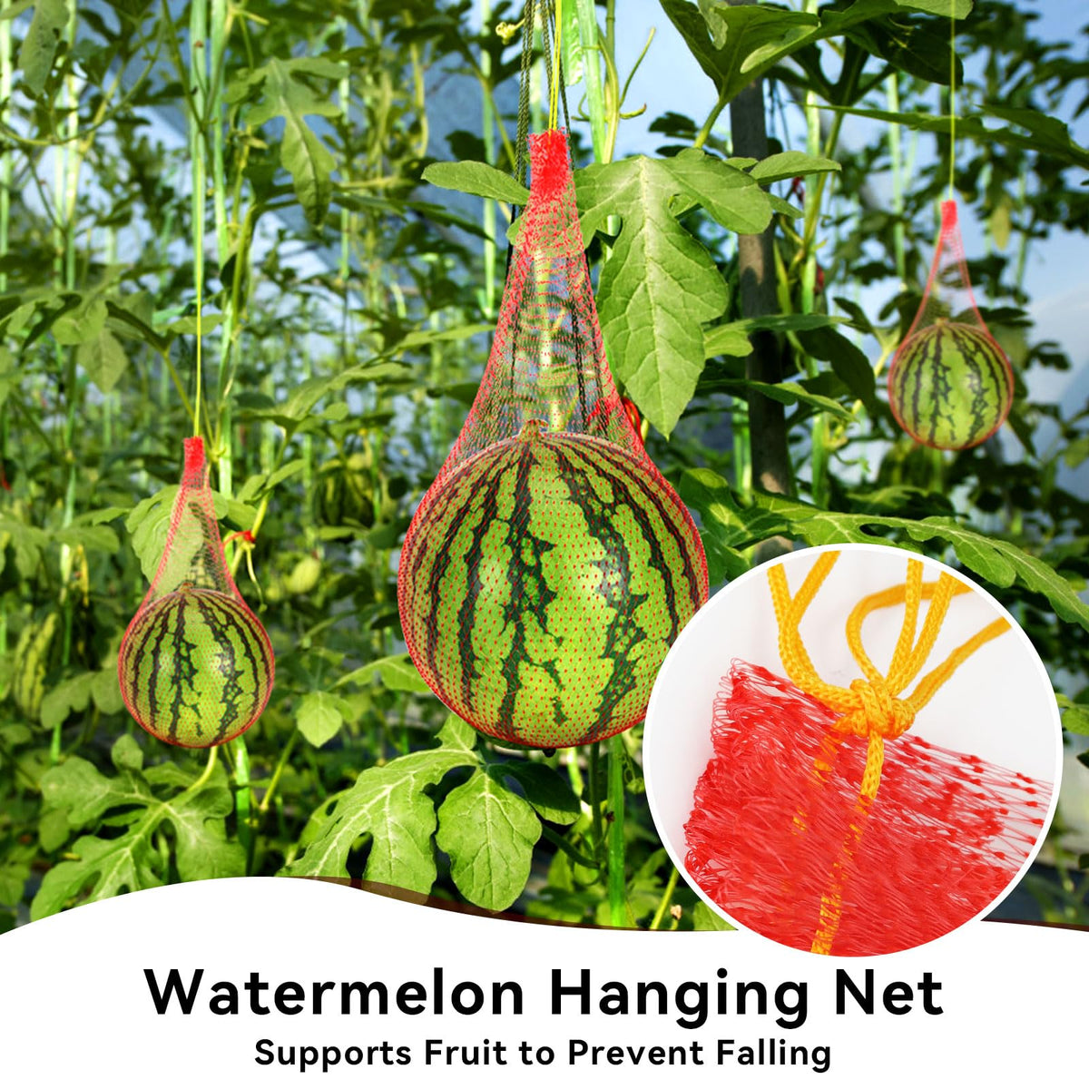 AUGHOA Protects fruit from animals with easy-to-use hanging nets.