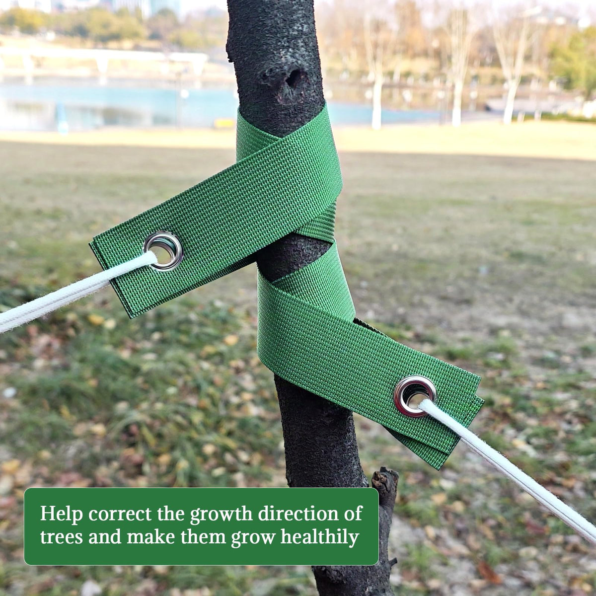 AUGHOA grommetted straps resist corrosion when exposed to rain.