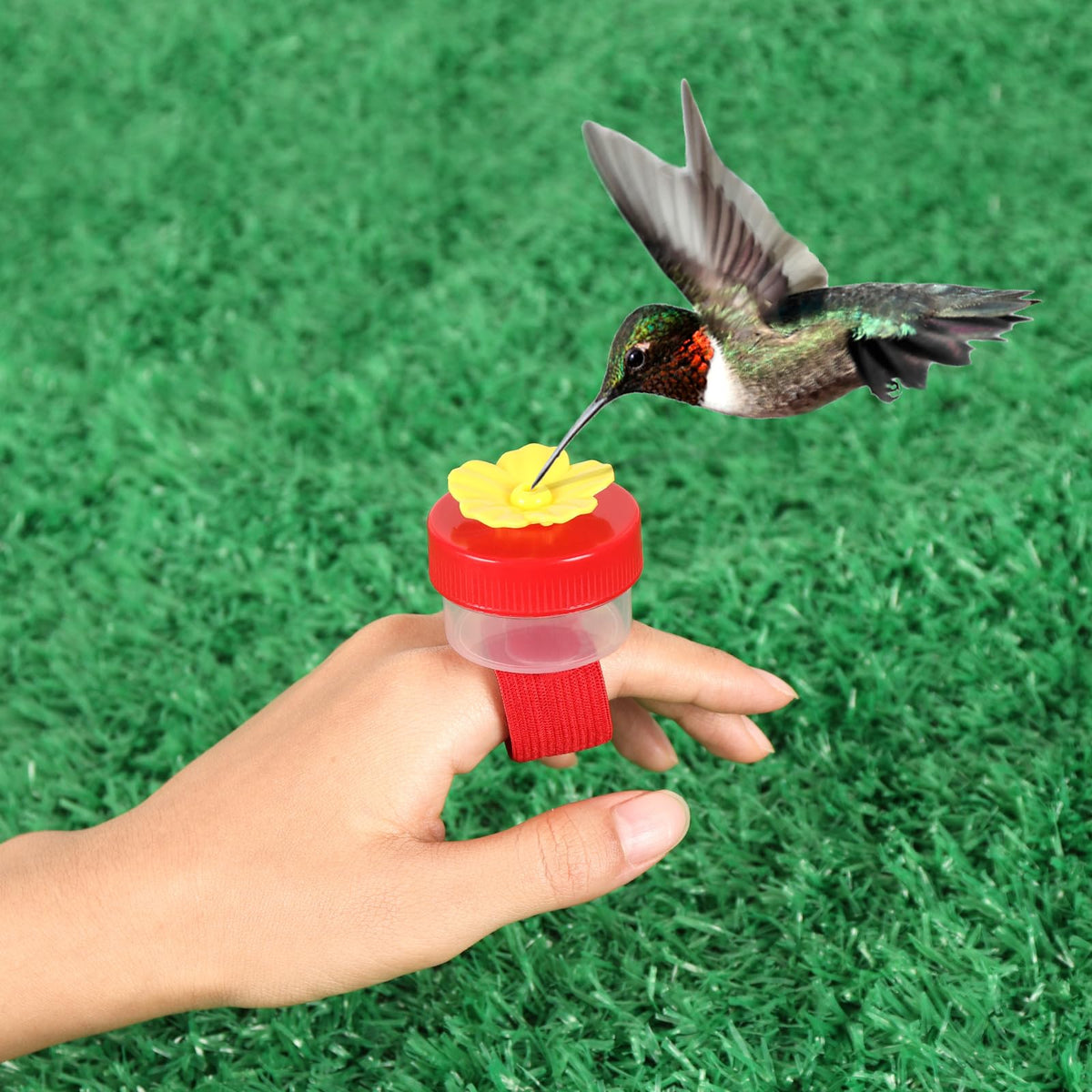 AUGHOA nature lovers gift set encourages backyard birdwatching