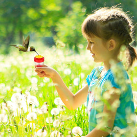 AUGHOA handheld feeder shown beside pocket for outdoor strolls
