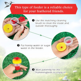 AUGHOA window-sill setup with colorful feeders attracting birds